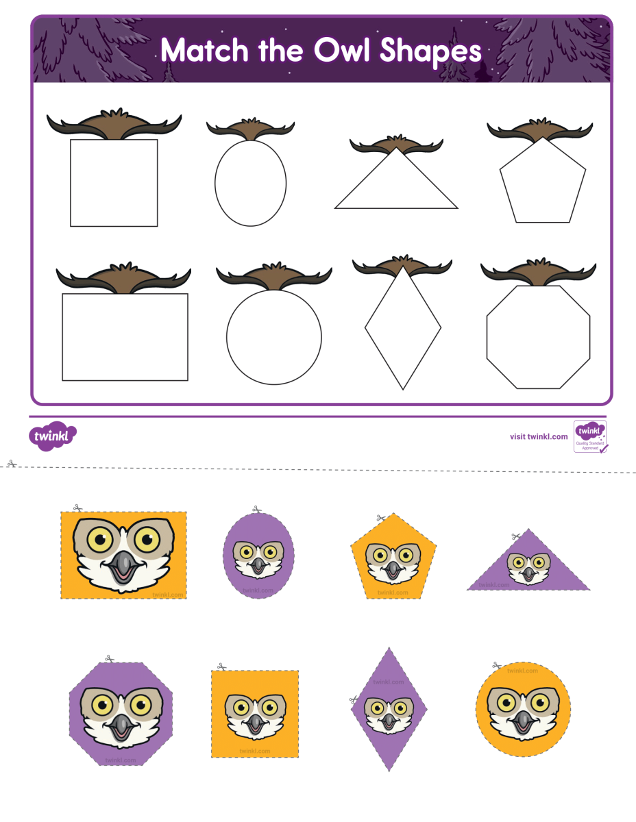 large.match-the-owl-shapes-activity-us-m-2548814_ver_1-1.png.57801d8f7fe1ac8cbc2f47eee28a38a1.png