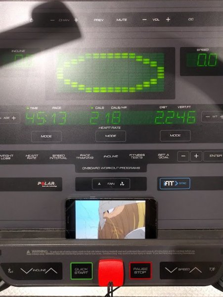 treadmill #81