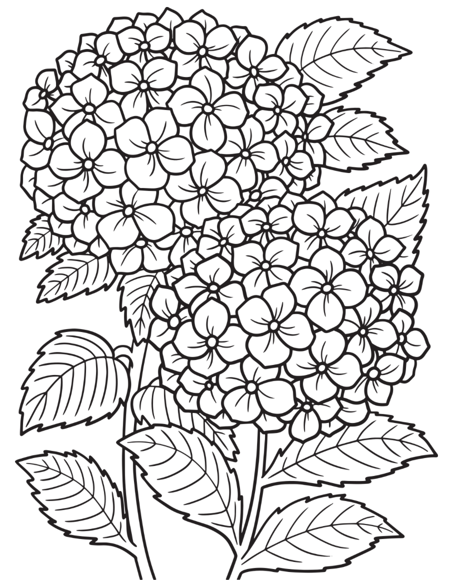 large.18384910-FC2B-4E1D-A293-095D9A95CDD2.png.27a15c6b53a3d728bc5ad66f031b1327.png