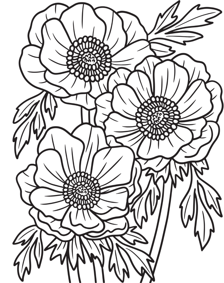 large.BD92FDC6-CF89-4040-ACAA-D4420075DC12.png.b043979ea5a326b6c109473fe888f8ee.png