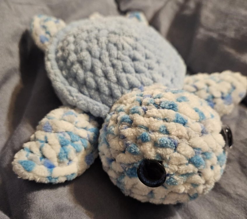 Turtle crochet 2.jpg