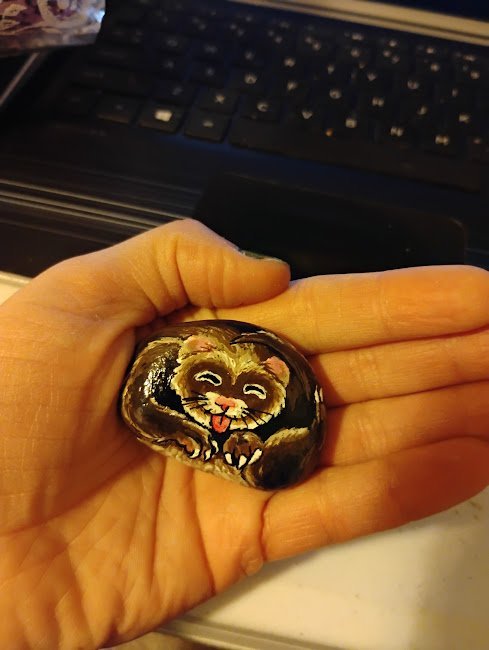 large.FerretPetRock.jpg.19289d16862dc0c3b3c7c73e261ab11f.jpg