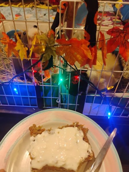 Carrot Cake