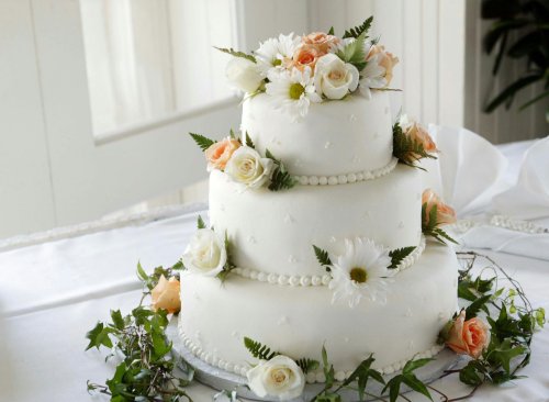 More information about "Origins Over Cake Types!"