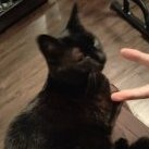 butimsleeping