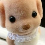 littleangelkitty
