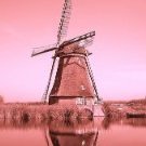 Tha Dutchies!