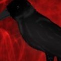 DaddyRaven
