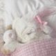 _bunny_