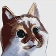 soartu