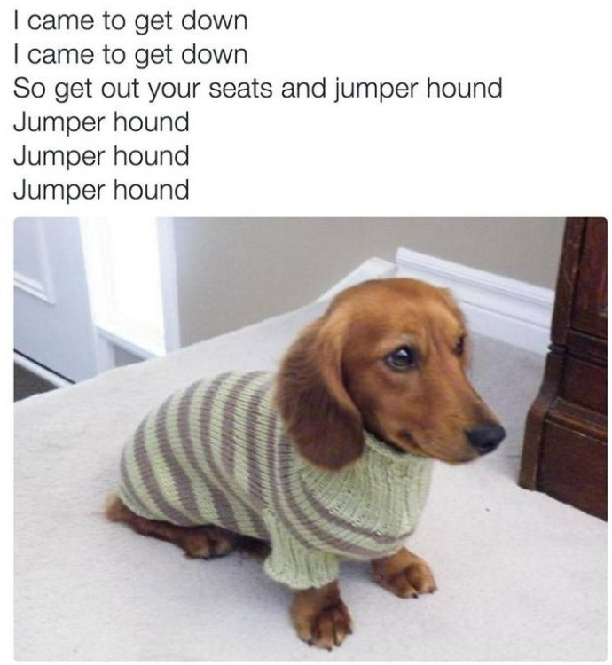 pPFYsceg.jpg