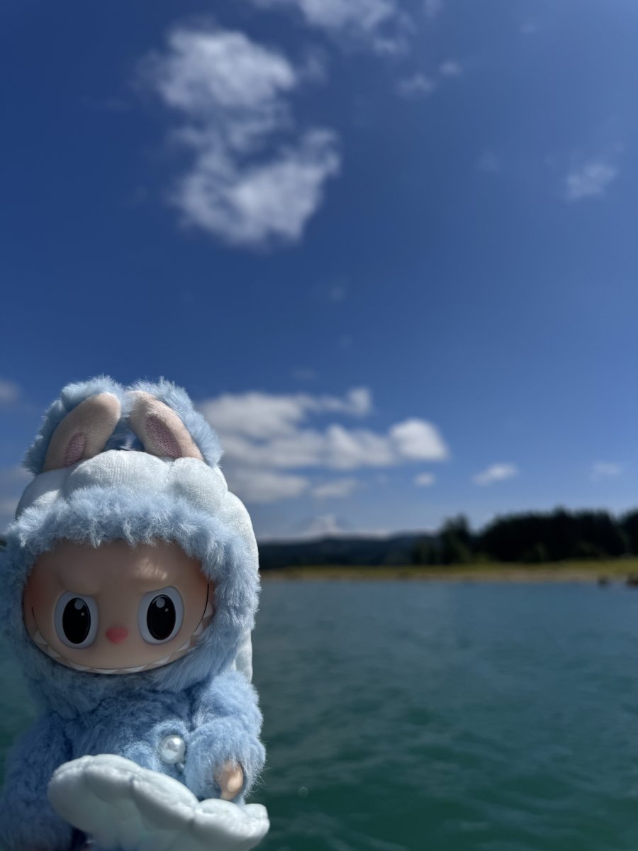 large.IMG_7479.jpeg.fdf58d14e8d84dd5494def4ed289d913.jpeg