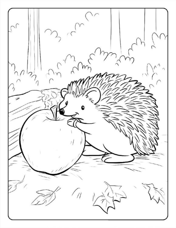Forest-Apple.jpg