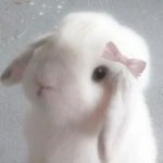 littlefairydancer