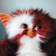 Mogwai