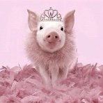 Piggy Piggy Princess