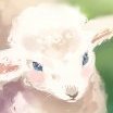 mossylamb