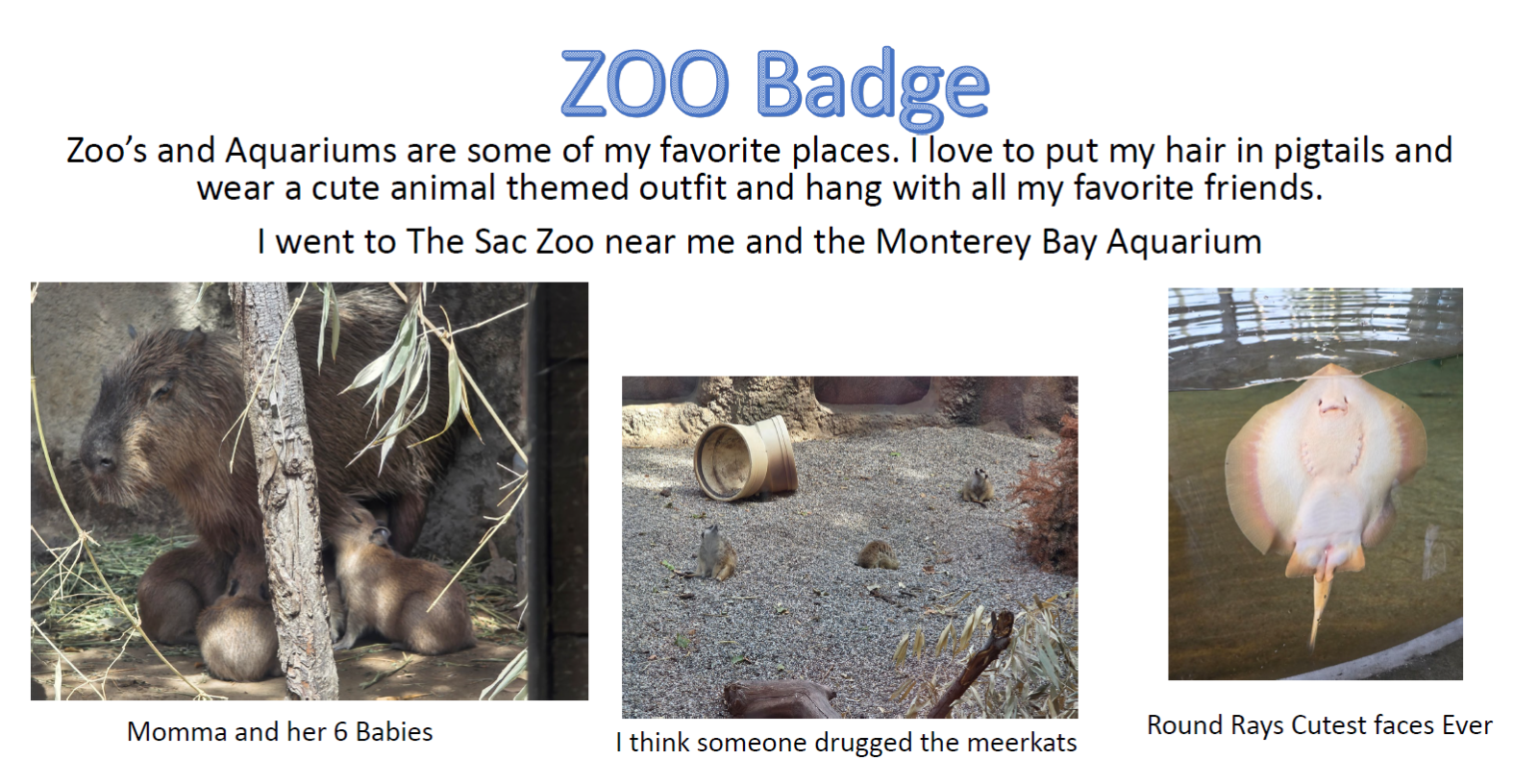 large_Zoo1.png.c37fee5b111301537e6be4569e33cce5.png