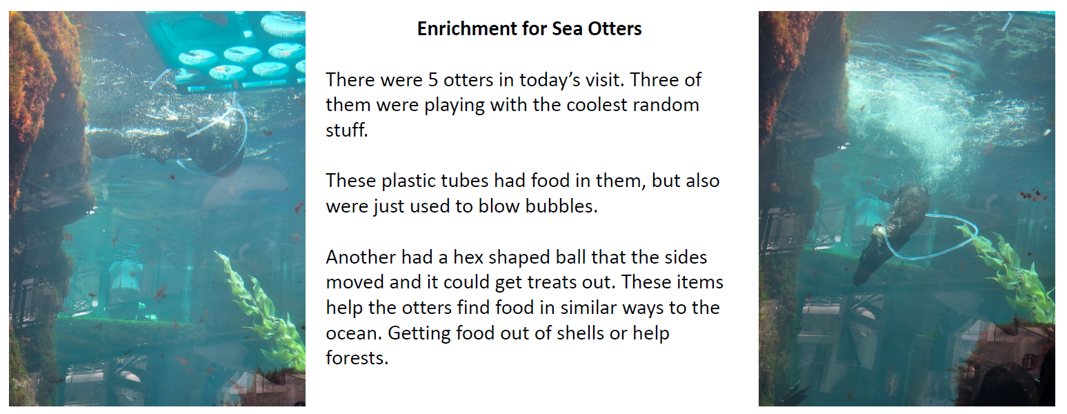 large_zoo2.png.fe39ebc09789f614990ed443c39aa193.png