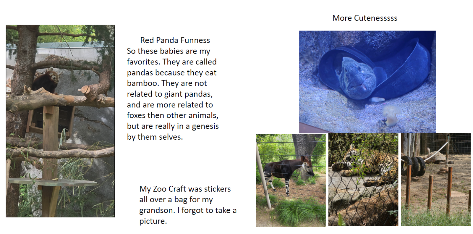 large_zoo3.png.1db5721445146b986b165fbf4c80f50b.png