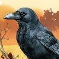 DaddyRaven