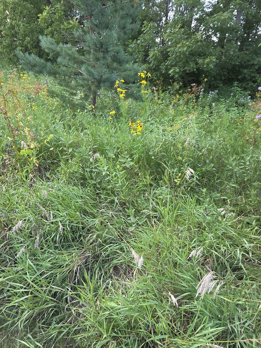 large.20260722_193943.jpg.f9e55912ea4925d4198be3629a7e811a.jpg