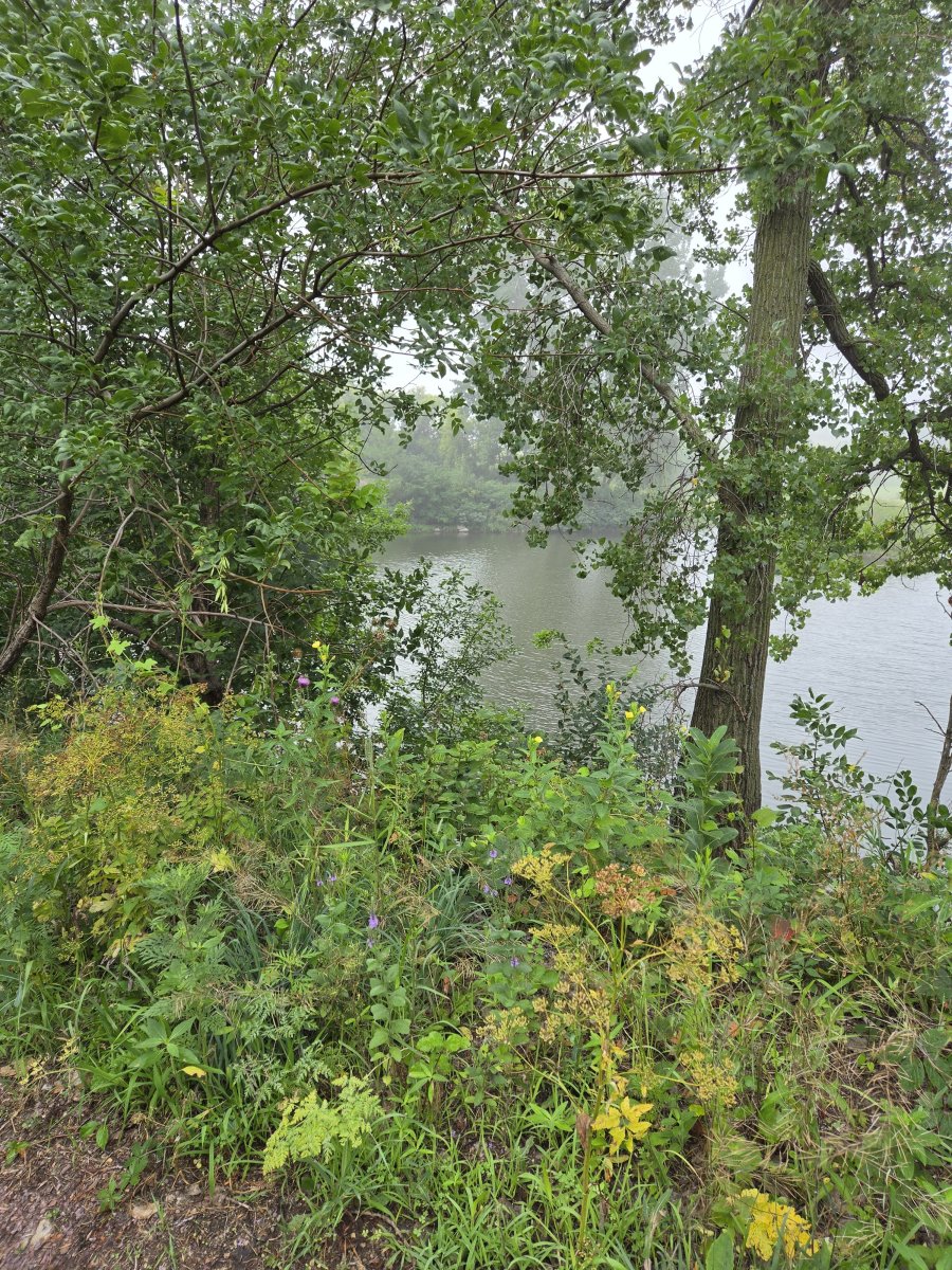 large.20260725_084509.jpg.fa7286307693884db1696769c856db8b.jpg