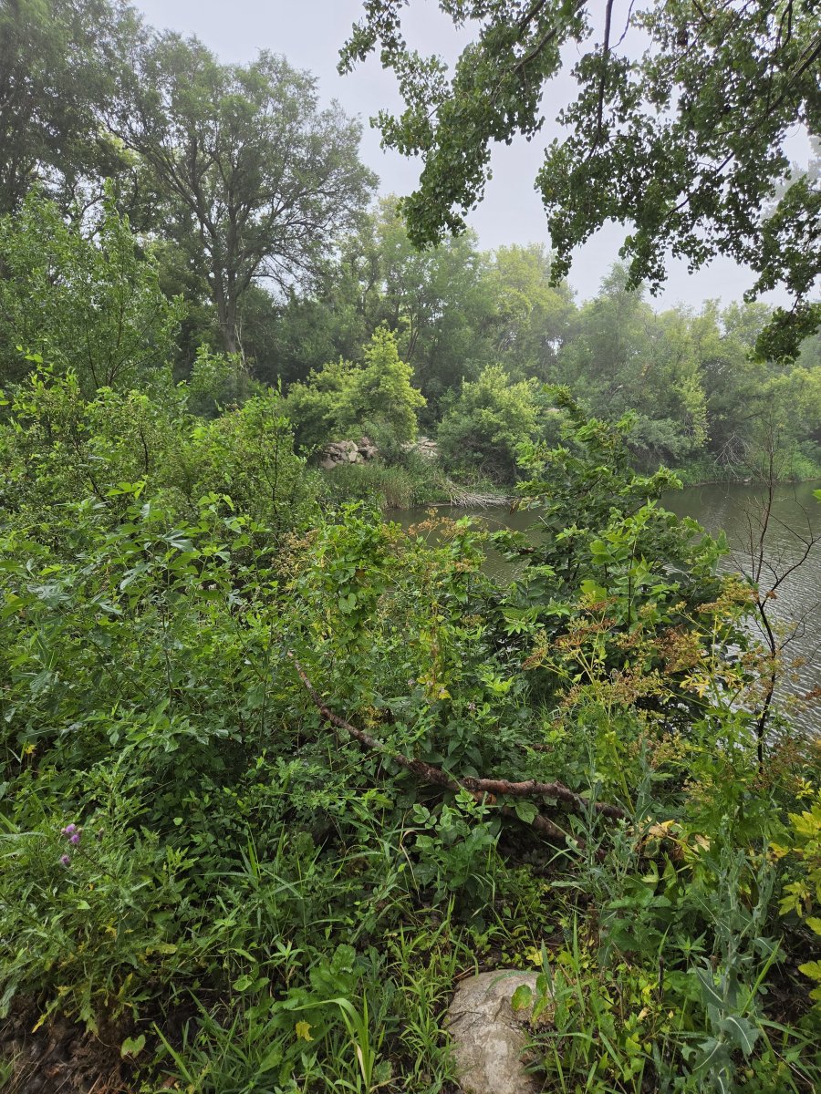 large.20260725_084641.jpg.c878da4b8d9f5bff382cb45b1695d935.jpg