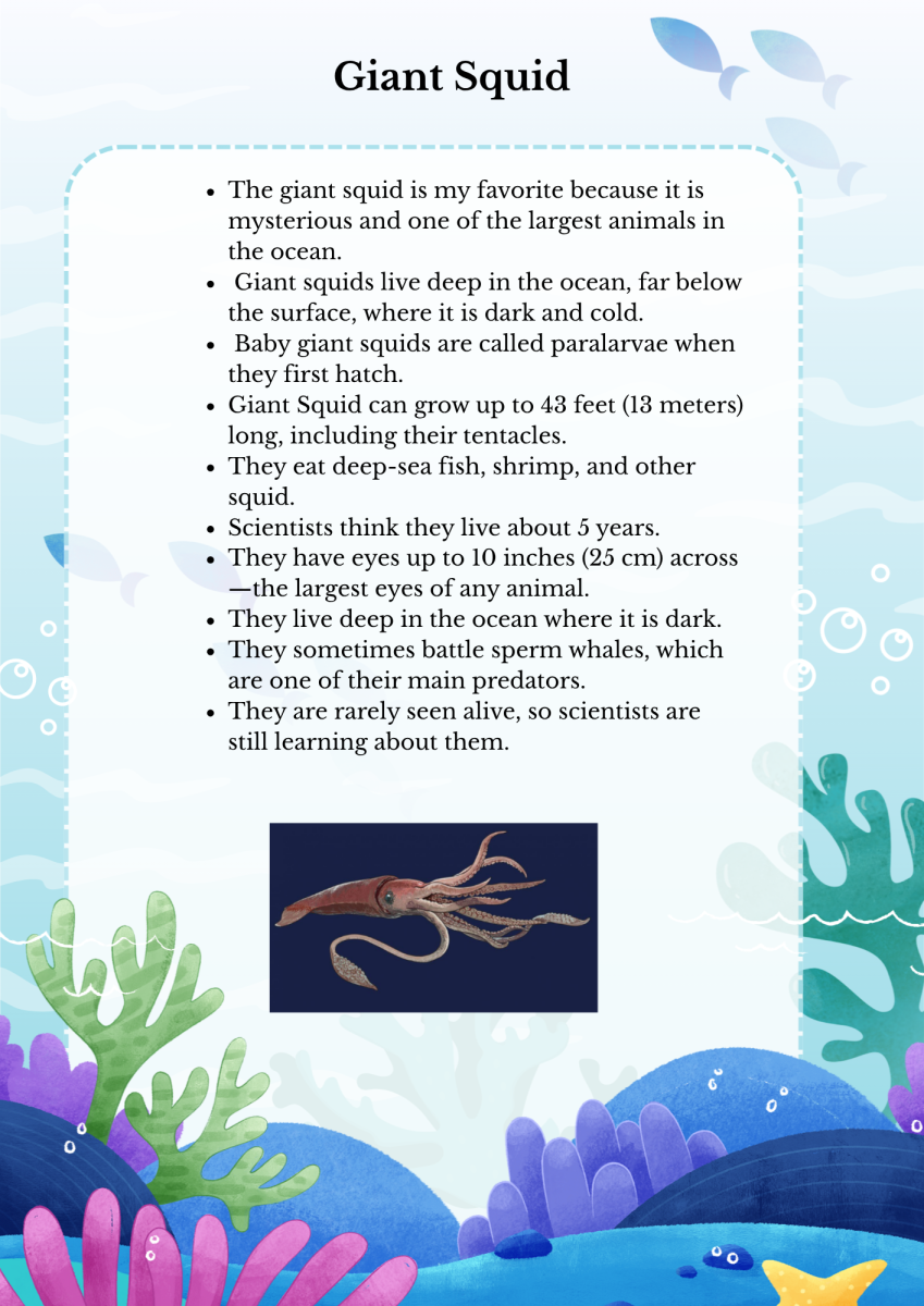 large.GiantSquid.png.6315d4aa532a7a5888d1dbb10ecb58ba.png