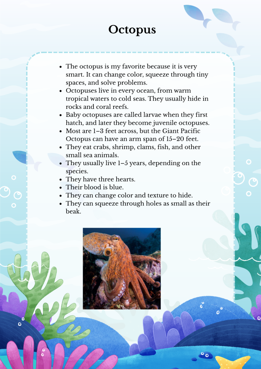 large.Octopus.png.ba29b722e126d8b6dc32334d4817a5fd.png
