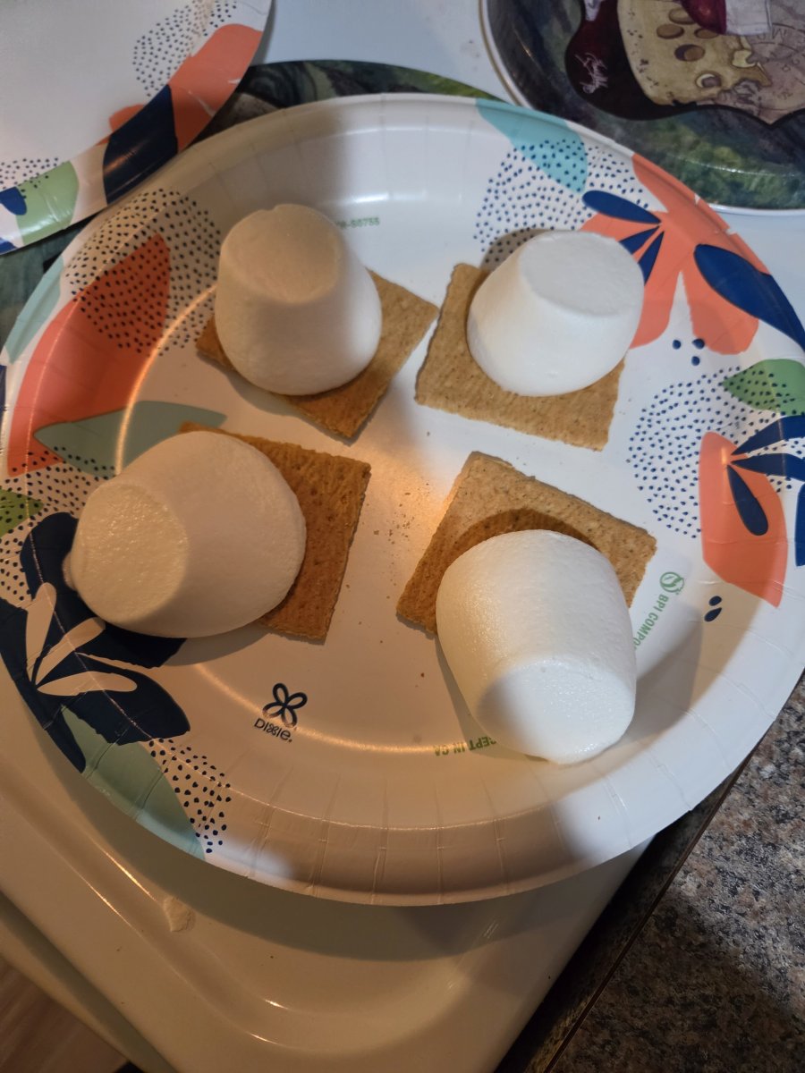 large.smores.jpg.14628242316096a068a63c48f4b6ac1f.jpg