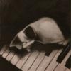 MonsieurFantome