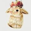 Lil_shy_bun20