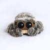 CuteLittleSpidey