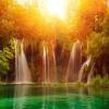 Daddy_new_zealand