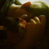 little_fox