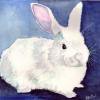 bunbunne