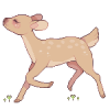 msfawn