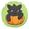 Pumpkitten