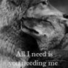 DaddyKing19