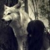 betawolf
