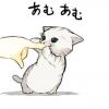 kittenprincess
