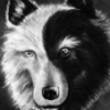 JVIouse_VVolf