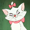 sunshinethepet