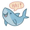 shark