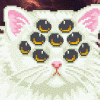 InkKitten