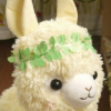 VanillaAlpaca