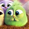 BabyBird0891