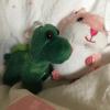 LittleTurtle