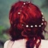LittleRedStarfish